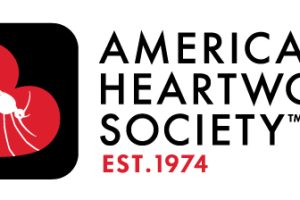 How Can I Protect My Dog Against Heartworms