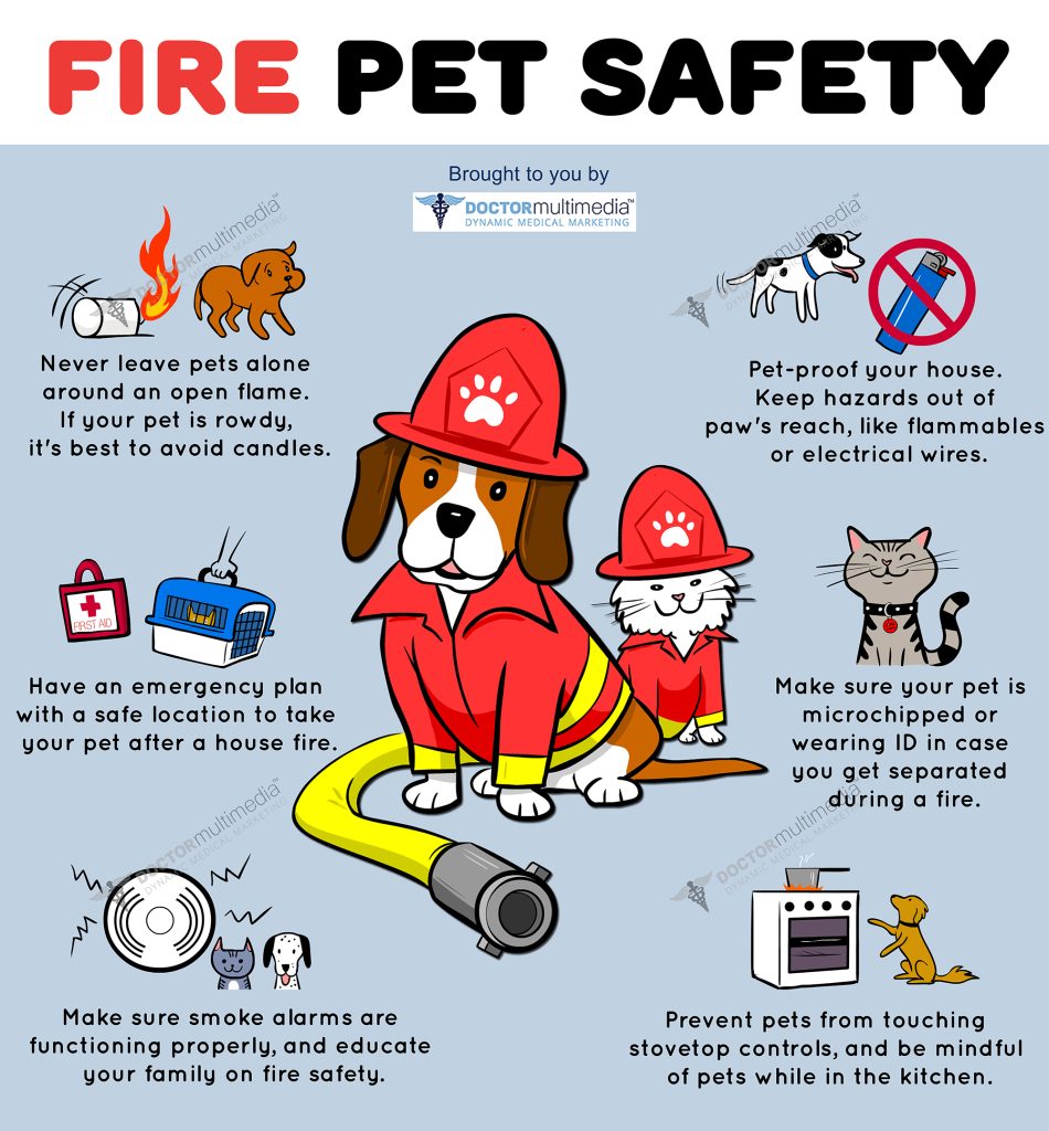Fire Safety and Your Pets | A to Z Veterinary Clinic