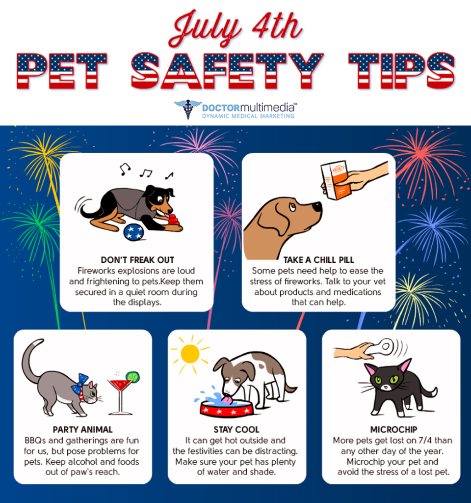 July 4th Pet Safety | A to Z Veterinary Clinic